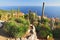 Exotic cacti garden at the very top of the mediaeval hilltop village of Eze, France