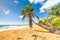 Exotic carribean shore of Puerto Rico Flamenco beach