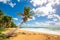 Exotic carribean shore of Puerto Rico Flamenco beach