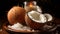Exotic Coconut Tray With Sea Salt And Candle - Backlit Photography