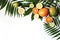 Exotic composition of fresh mango, lemons, oranges, lime fruit and lush green palm and aralia leaves isolated on white