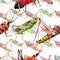 Exotic crickets wild insect in a watercolor style pattern.