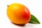 Exotic Delights: Fresh Mango on a Clean White Background