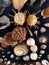 An exotic diversity of seashells