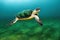 Exotic diving with sea turtle amazing underwater world.