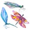 Exotic dragonfly wild insect. Watercolor background illustration set. Isolated dragonfly illustration element.