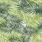 Exotic fern leaves seamless pattern on white background. Tropical palm leaf wallpaper