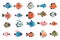 Exotic fish collection. Cartoon marine underwater wildlife, colorful ocean life characters, fish zoo decor and wildlife