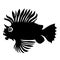 Exotic fish logo for fishing design. Black silhouette of a cockerel fighting fish tattoo on a white background