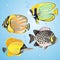 Exotic fish set