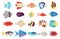 Exotic fish set. Creatures colourful, fishes sea or tropical ocean life. Underwater and aquarium cute animal and