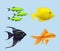 Exotic fishes. Realistic underwater life aquarium drawing colored fishes decent vector illustration collection isolated