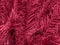 Exotic floral texture of palm leaves tinted with pink Viva Magenta 2023 color