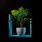 Exotic flower of a monstera in a flowerpot in a blue frame on a dark background