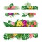 Exotic flowers banner. Tropical leaves, jungle plants and flower blank flyers vector set