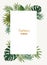 Exotic flyer or poster template with green leaves of jungle plants and place for text. Vertical summer backdrop or