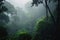 exotic foggy forest with towering trees and misty air