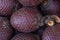 Exotic fruit of America: Aguaje or Moriche, palm fruit, buriti nuts, mauritia flexuosa, Maurity palm