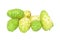 Exotic Fruit - Noni on white