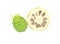 Exotic Fruit - Noni on white