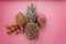 Exotic fruit pineapple mango lychee and coconut on a pink background