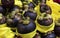 Exotic fruit purple mangosteen