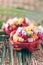 Exotic fruit salad served in half of dragon fruit over palm leaves on rattan background. Copy space. Tropical travel, exotic fruit