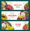 Exotic fruit sketch banner set of tropical berry