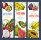 Exotic fruit sweet tropical food sketch banner set