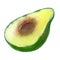 Exotic fruit of tropical avocado. watercolor illustration