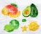 Exotic fruit watercolor mango, avocado, carambola