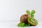 Exotic fruits closeup - juicy ripe fleshy kiwi with slice, drop juice and young green leaves in elegant white kitchen interior.