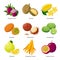 Exotic fruits - icon set, vector detailed illustrations isolated on white background. Juicy beautiful pitaya, durian