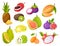 Exotic fruits. Juicy pineapple and mango, tropical guava and tasty fig, mangosteen and carambola, cartoon jackfruit and