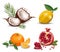 Exotic fruits set collection Coconut, lemon, orange, pomegranate Vector realistic
