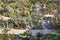 The exotic garden path with rare succulent plants high angle view in Monte Carlo, Monaco