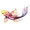Exotic goldfish wild fish in a watercolor style isolated.