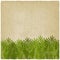 Exotic green palm leaves old background