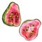 Exotic guava wild fruit in a watercolor style isolated.