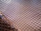 Exotic haberdashery leather, python skin, snake skin. Pink leather for accessories.