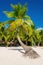 Exotic high palm trees on a wild beach against the azure waters of the Caribbean Sea, Dominican Republic