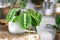 Exotic houseplant called `Maranta Leuconeura Lemon Lime` in flower pot