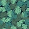 Exotic leaves, rainforest. Seamless hand drawn tropical pattern. Vector background with monstera.