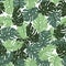Exotic leaves, rainforest. Seamless hand drawn tropical pattern. Vector background with monstera.