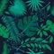 Exotic leaves, rainforest. Seamless realistic tropic leaf pattern. Palm leaf, banana leaf, hibiscus, plumeria flowers. Jungle tree
