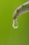 Exotic macro leaf waterdrop