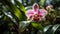 Exotic moth orchid blossoms in tropical elegance generated by AI