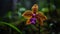 Exotic moth orchid blossoms in tropical forest generated by AI