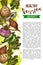 Exotic natural vegetables, vector sketch banner