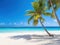 Exotic palms on sandy Caribbean beach